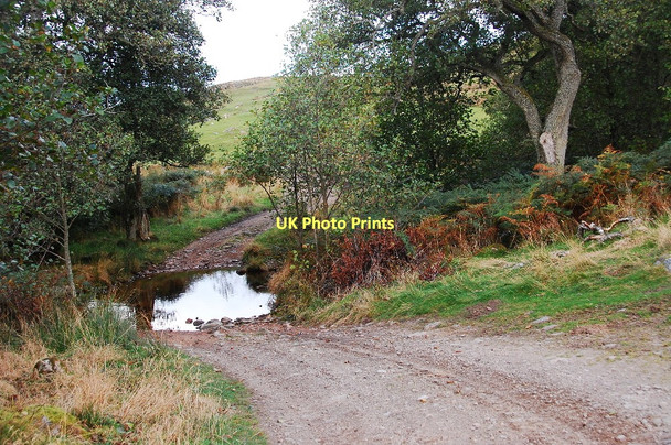 Photo 6"x4" Ford, Morvich Burn Kinnauld c2011