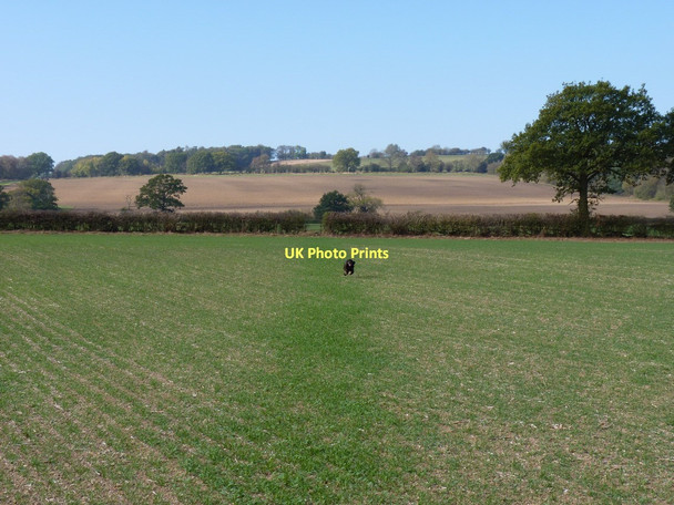 Photo 6"x4" Footpath towards Preen Lushcott c2011