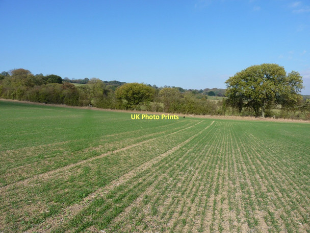 Photo 6"x4" Footpath towards Preen Manor Church Preen c2011