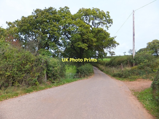 Photo 6"x4" Farm track joining the minor road west of Yearlstone Bickleigh\/SS9407 c2011