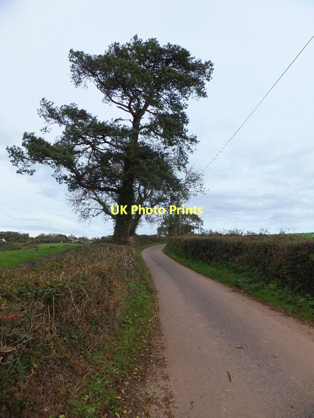 Photo 6"x4" Minor road south of Southwood Little Silver\/SS9109 c2011