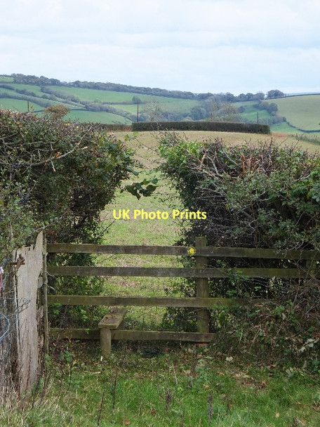 Photo 6"x4" A little-used stile near Ashley Tiverton\/SS9512 c2011
