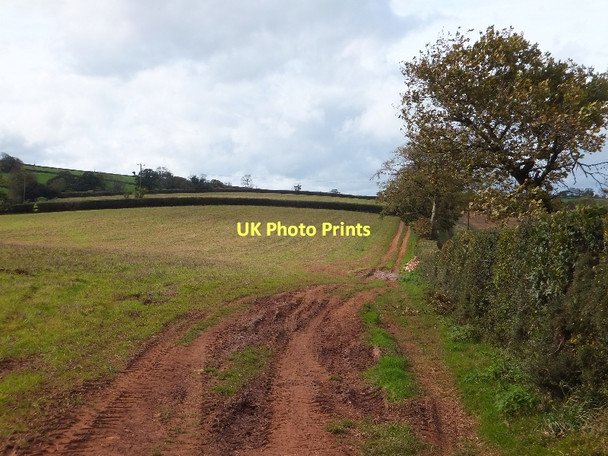Photo 6"x4" Track to Higher Ashley Tiverton\/SS9512 c2011