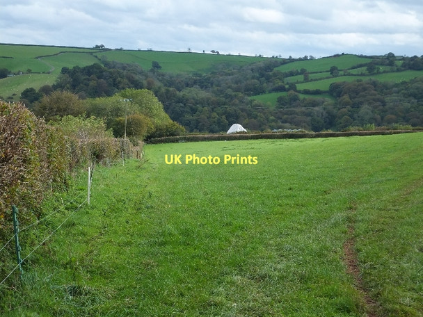 Photo 6"x4" Footpath south of Middle Hill Farm Tiverton\/SS9512 c2011