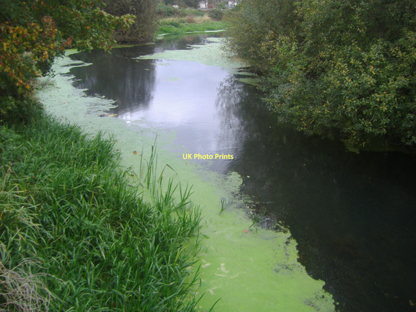 Photo 6"x4" The river Mole, West Molesey East Molesey c2011