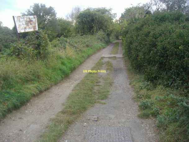 Photo 6"x4" Track to Ray Road allotments East Molesey c2011