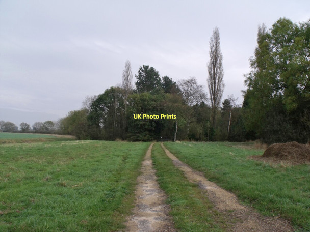Photo 6"x4" Track to Waterdroops Spinney Gautby c2011