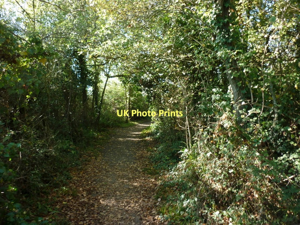 Photo 6"x4" The coastal path near Black Rock Bembridge c2011