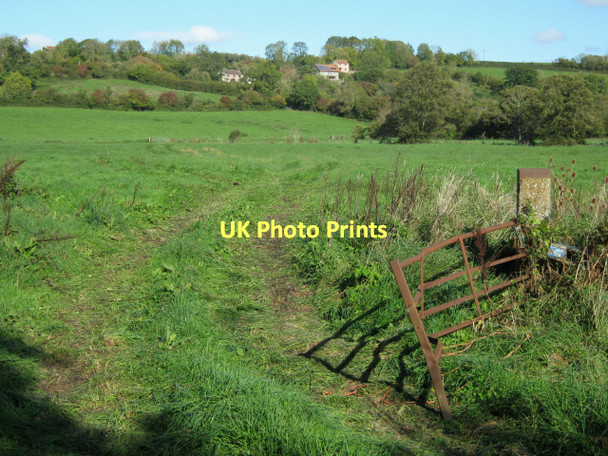 Photo 6"x4" Field gate on North Chine Drove New Town\/ST4645 c2011