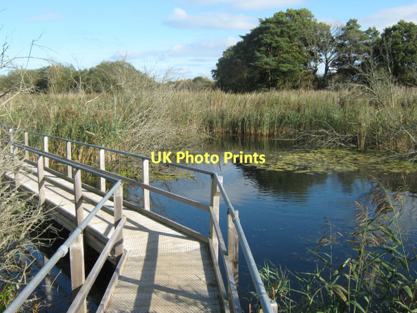 Photo 6"x4" Walkway to Island Hide, Westhay Moor Nature Reserve Bagley\/ST4545 c2011