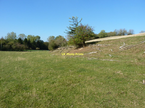 Photo 6"x4" A thoroughly gubbed hedge Plaish c2011