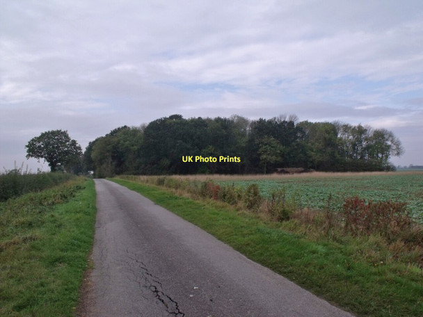 Photo 6"x4" Brickyard Plantation, near Horsington Bucknall\/TF1768 c2011
