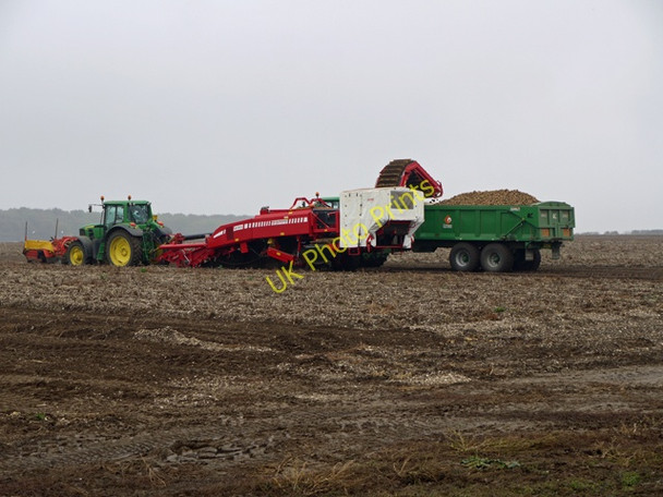 Photo 6"x4" Lifting Potatoes near Saxby All Saints Saxby All Saints c2009