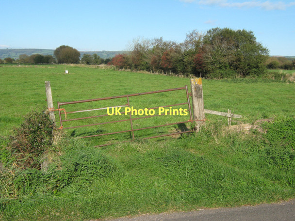 Photo 6"x4" Field gate on Westhay Moor Drove Lower Godney c2011