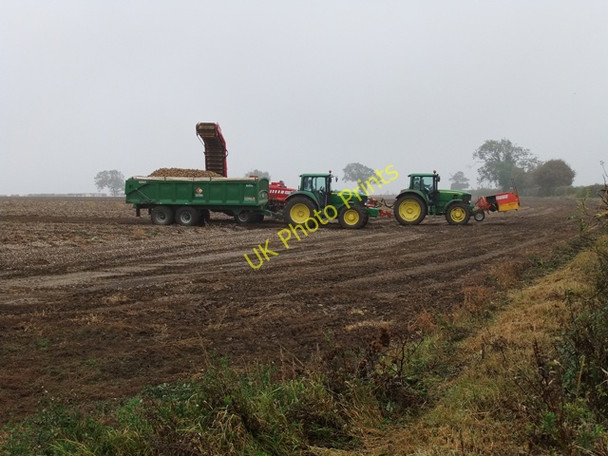 Photo 6"x4" Lifting Potatoes near Saxby All Saints Saxby All Saints c2009 P2