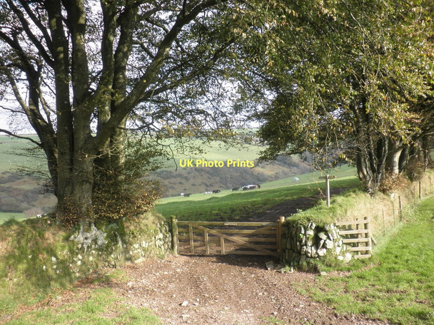 Photo 6"x4" Farm gateway, Lyshwell Hawkridge c2011