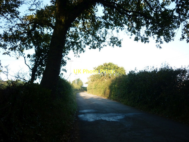 Photo 6"x4" Brooks Copse Road towards Alverstone Road Dallimores c2011