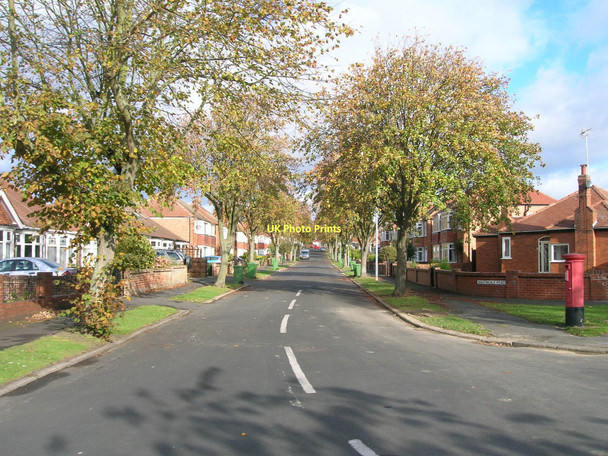 Photo 6"x4" Nightingale Road, Bridlington Bridlington c2011