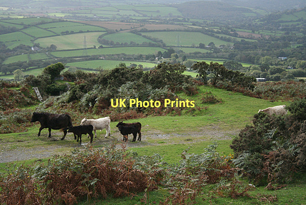 Photo 6"x4" Ugborough: head of inclined plane Ivybridge\/SX6356 c2011