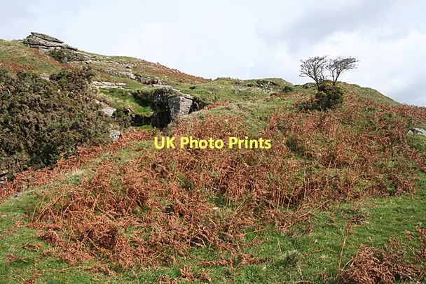 Photo 6"x4" Ugborough: by an old quarry Ivybridge\/SX6356 c2011
