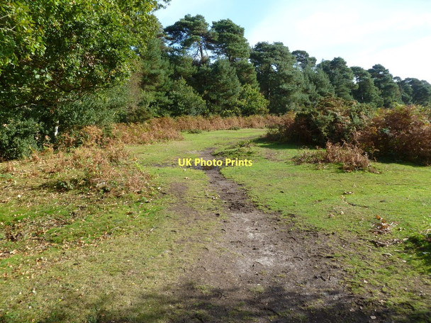 Photo 6"x4" Wootton, track Wootton\/SZ2498 c2011