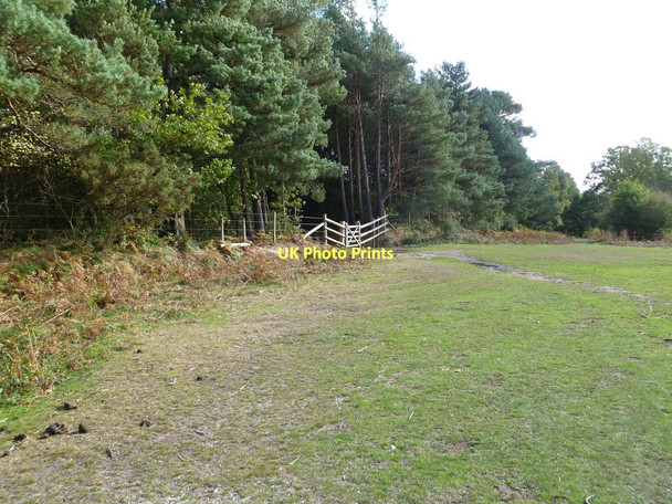 Photo 6"x4" Broadley Inclosure, gate Wootton\/SZ2498 c2011
