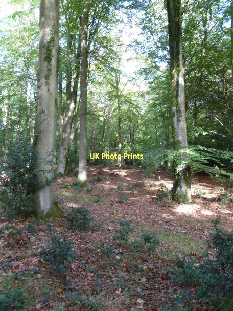 Photo 6"x4" Broadley Inclosure Mead End\/SZ2698 c2011