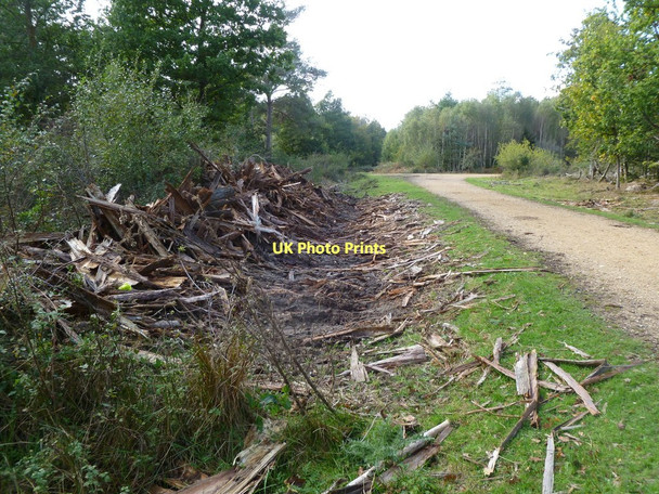 Photo 6"x4" Wootton Coppice Inclosure, timber waste Wootton\/SZ2498 c2011