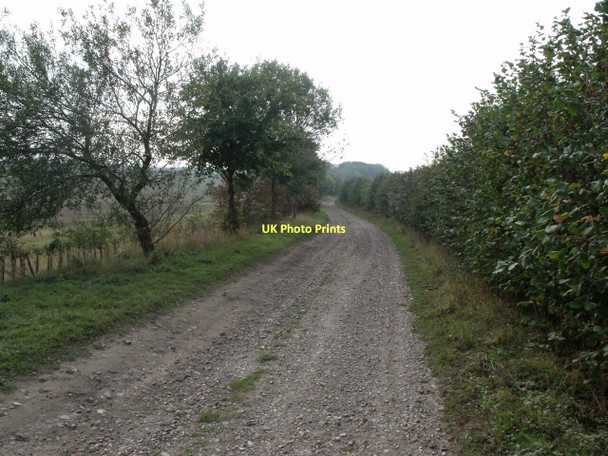 Photo 6"x4" Mere Balk Lane, near Baumber Edlington c2011