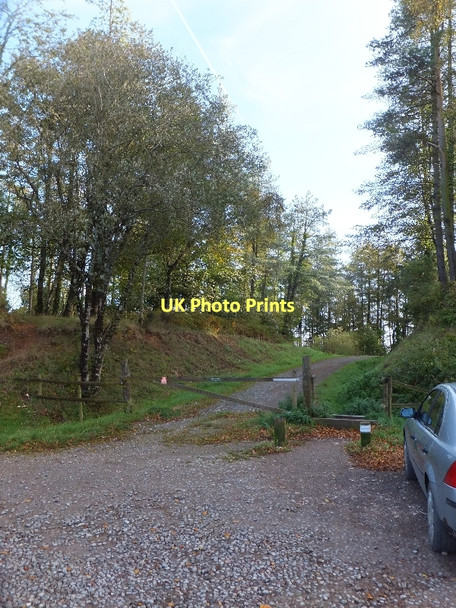 Photo 6"x4" Forest Road at Haldon Gate, leading into Tower Plantation Underdown\/SX8885 c2011