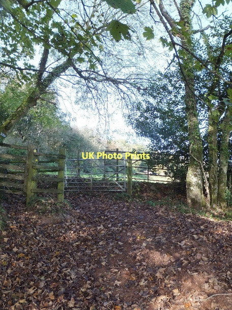 Photo 6"x4" Stile on footpath from Haldon Gate to Dunchideock Dunchideock c2011
