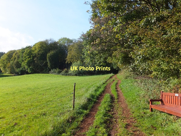 Photo 6"x4" Footpath from Haldon Gate to Dunchideock Dunchideock c2011