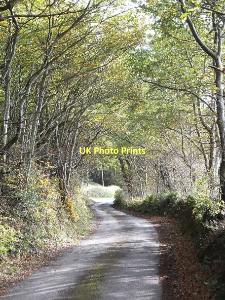Photo 6"x4" Minor road leading to Windy Cross Dunchideock c2011