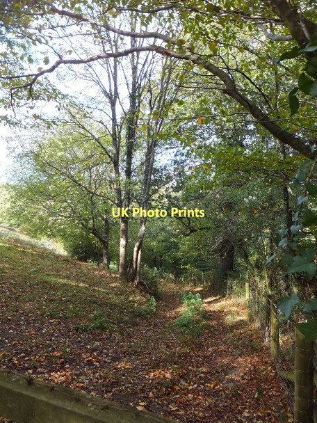 Photo 6"x4" Footpath from Spanishlake to Eastern Hill Doddiscombsleigh c2011
