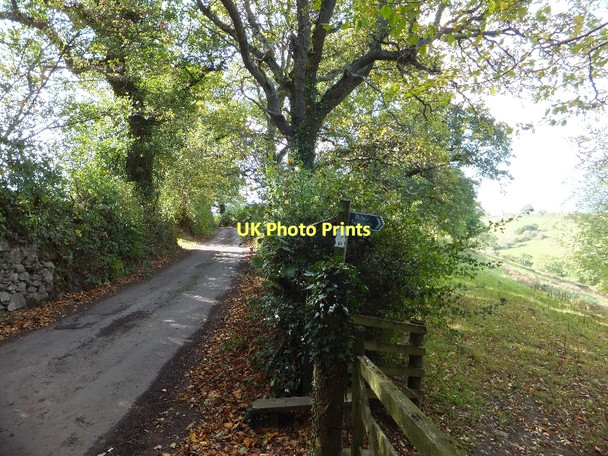 Photo 6"x4" Minor road at Spanishlake Doddiscombsleigh c2011