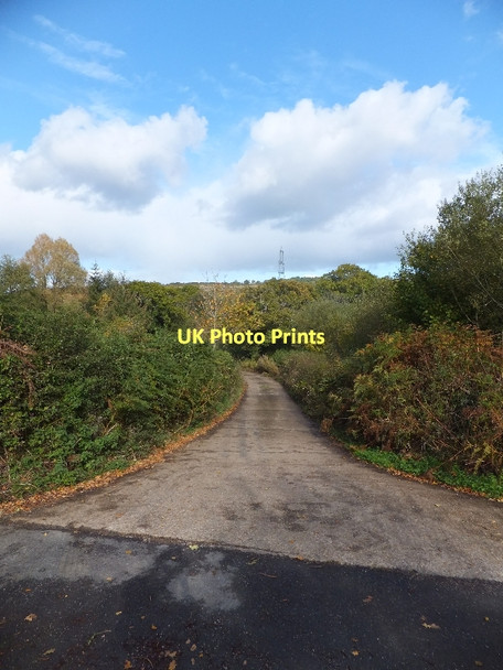 Photo 6"x4" The farm road to Whitemoor Farm from Tick Lane Doddiscombsleigh c2011