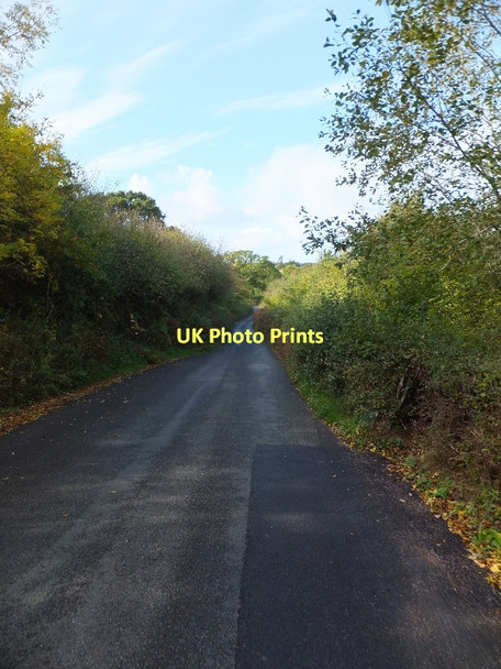 Photo 6"x4" Tick Lane leading to Doddiscombsleigh Doddiscombsleigh c2011
