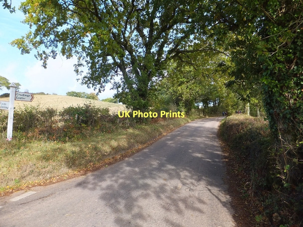 Photo 6"x4" The road to Haldon and beyond Doddiscombsleigh c2011