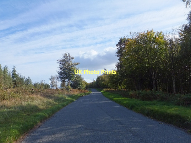 Photo 6"x4" Road along the top of Haldon Underdown\/SX8885 c2011