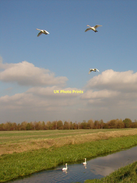 Photo 6"x4" Fly past! Ewerby Thorpe c2011