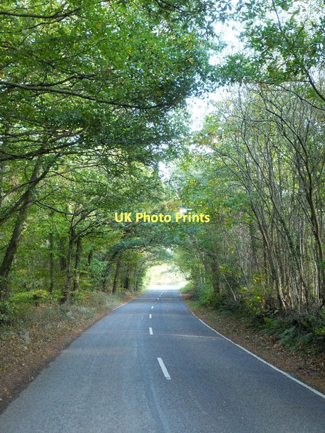 Photo 6"x4" Road to the A380 on the edge of Exeter Racecourse Harcombe\/SX8881 c2011