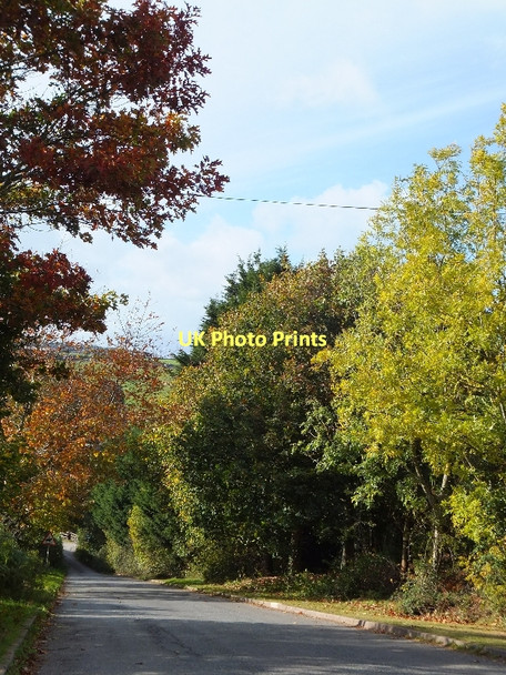 Photo 6"x4" The road to Splatford Barton Kenn\/SX9285 c2011