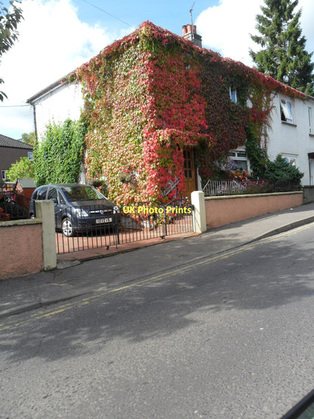 Photo 6"x4" Virginia Creeper covered house, Bank Head, Blairgowrie Blairgowrie c2011