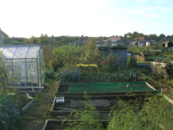 Photo 6"x4" Allotments on Sewerby Road Bridlington c2011