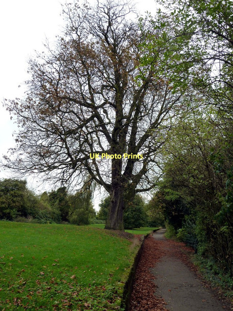 Photo 6"x4" Footpath in Darley Abbey Park Derby\/SK3535 c2011