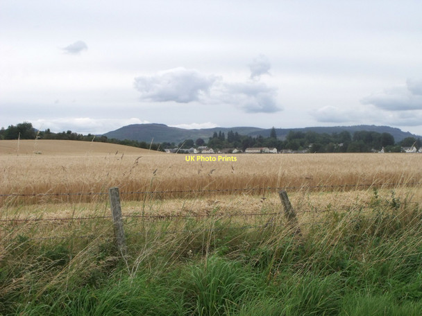 Photo 6"x4" Cereal crop in field south of Bankfoot Bankfoot\/NO0635 c2011
