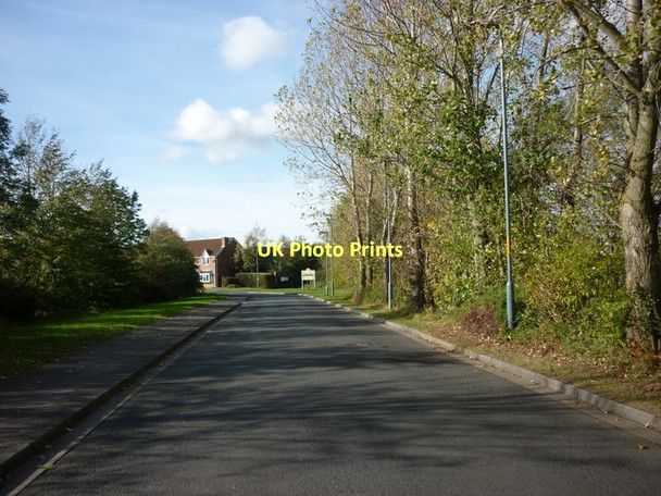 Photo 6"x4" Sandy Flatts Lane Brookfield\/NZ4815 c2011