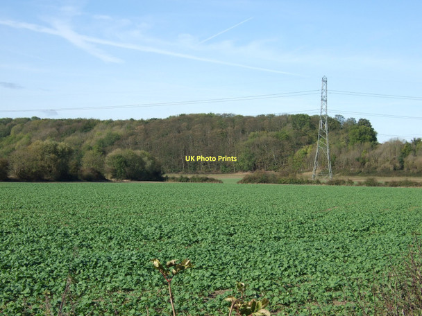 Photo 6"x4" Farmland off Broadgate Lane Kelham c2011