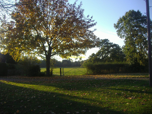 Photo 6"x4" Entrance to field on Tilt Road Cobham\/TQ1160 c2009