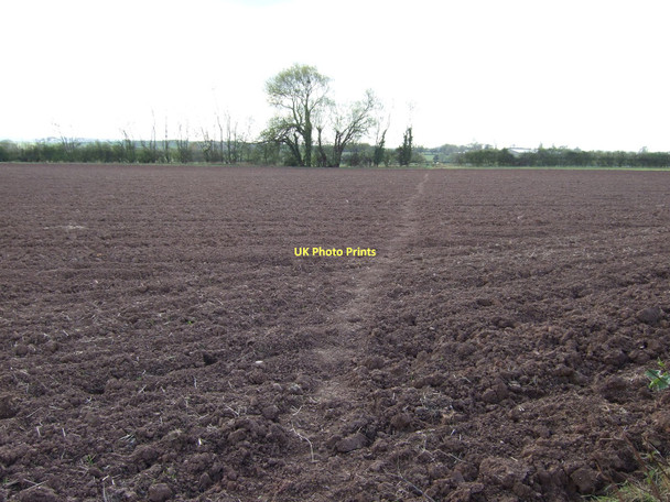 Photo 6"x4" Footpath over fields Southwell\/SK7053 c2011